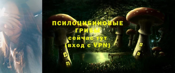 spice Лабытнанги