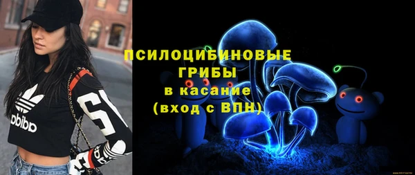 spice Ладушкин
