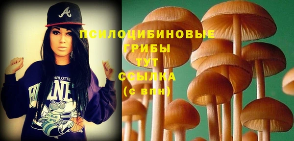 стафф Лихославль