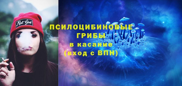 spice Лабытнанги