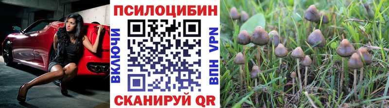 Псилоцибиновые грибы мицелий  Курчатов 